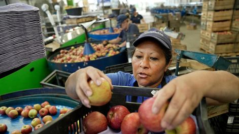 Uruguay registró algunas mejoras en la calidad de los empleos, según dos índices. Foto: Javier Calvelo, adhocFOTOS