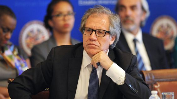 imagen de La OEA se moviliza a impulso de su secretario general ante la alteración del “orden democrático” y constitucional en Venezuela imagen de La OEA se moviliza a impulso de su secretario general ante la alteración del “orden democrático” y constitucional en Venezuela