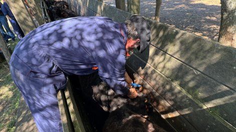 Las instituciones vinculadas con la medicina veterinaria pretenden que todos los establecimientos, sin importar tamaño o sistema de explotación, trabajen con un veterinario corresponsable.