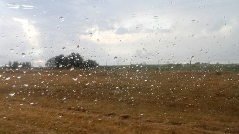 imagen de La lluvia que impulsó a la soja y el maíz les sobró a las chacras  granjeras, que registran una menor producción de hortalizas