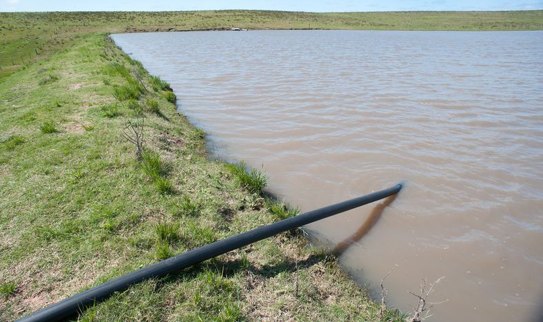Tajamar en un establecimiento ganadero de Rivera