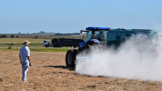 El gasoil uruguayo tiene un precio 8% superior al de Concordia (Argentina) y 5% más que en Santana do Livramento (Brasil). El gasoil uruguayo tiene un precio 8% superior al de Concordia (Argentina) y 5% más que en Santana do Livramento (Brasil).