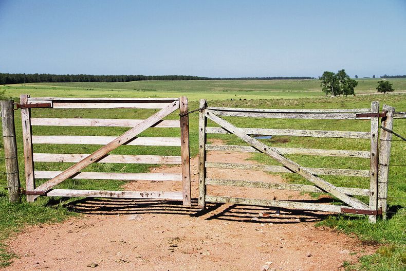 El gobierno tiene previsto revisar los impuestos que paga el agro, con el criterio de gravar la renta y no la tierra. Foto: Nicolás Der Agopián