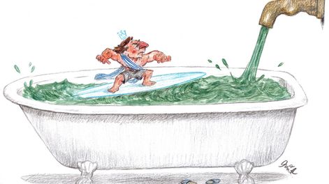 Búsqueda | 83353.jpg