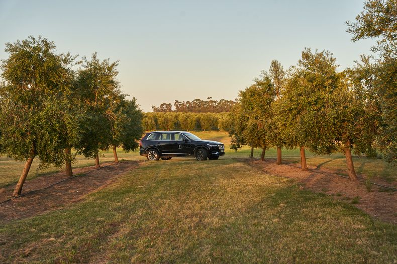 El modelo XC90 de Volvo acompañó al JIIFF en la Bodega Oceánica José Ignacio