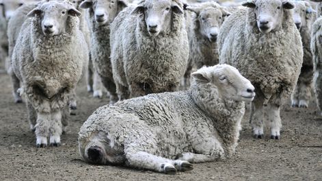 Foto: Javier Calvelo / adhocFOTOS