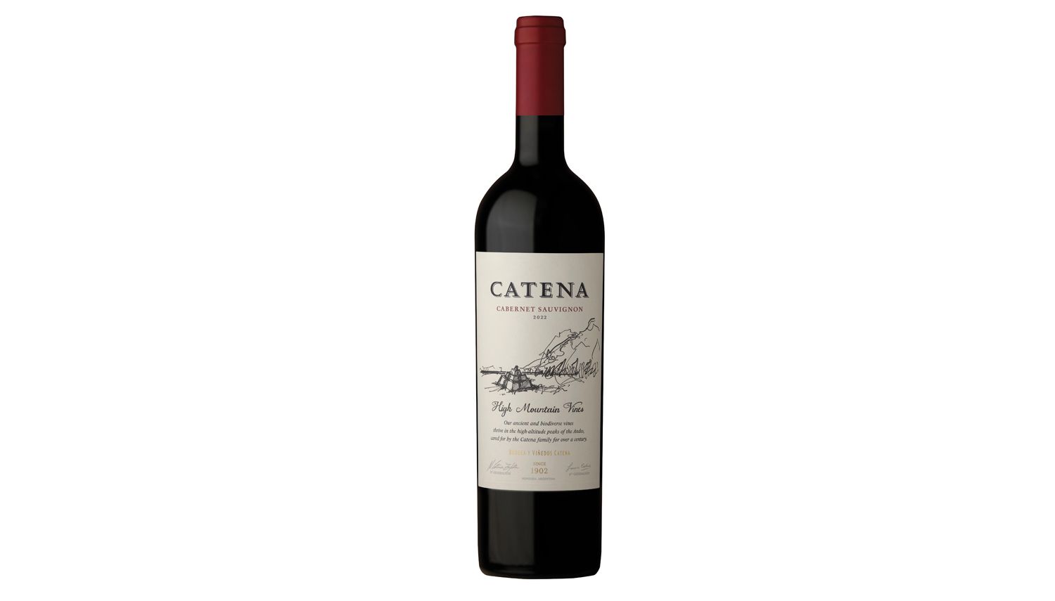Catena Cabernet Sauvignon