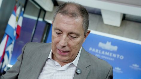 El ministro Gabriel Oddone