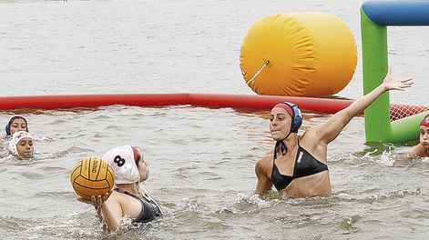 Búsqueda | _VAL_8354.jpg