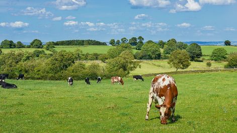 imagen de Un anuncio promisorio por parte de la Unidad de Gestión de Deuda
