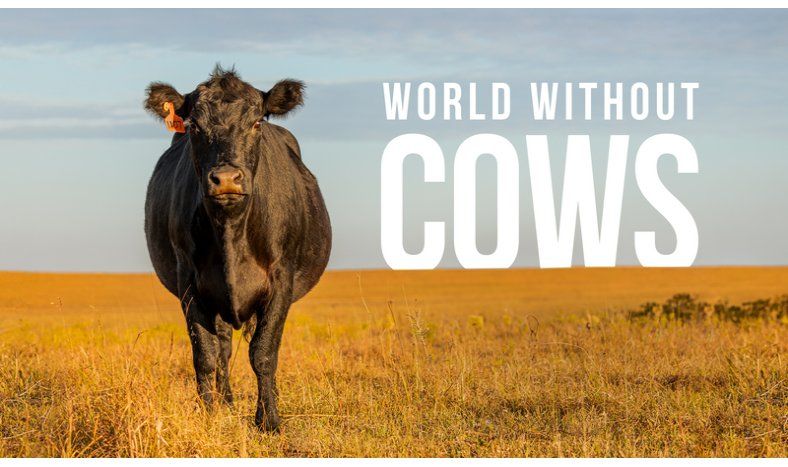 Documental desmitifica el impacto climático de la producción ganadera