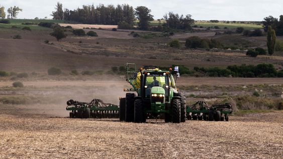 Una máquina cosechadora de soja. Una máquina cosechadora de soja.