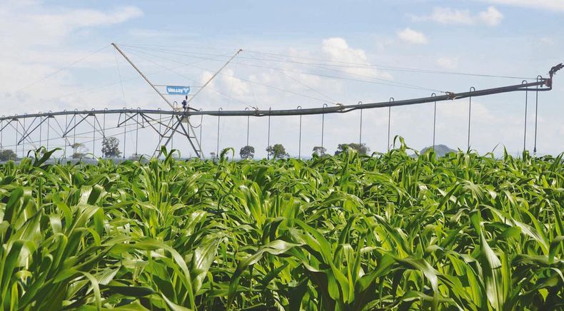 Se estima que aumentando el represamiento de solo el 2% del agua que escurre se podrían regar 600.000 hectáreas de maíz.