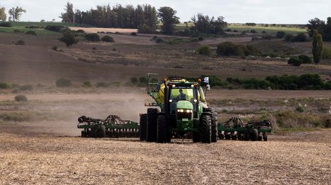 Una máquina cosechadora de soja.&nbsp;
