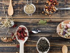 un taller para volver al ritmo natural a traves de la medicina de las plantas un taller para volver al ritmo natural a traves de la medicina de las plantas