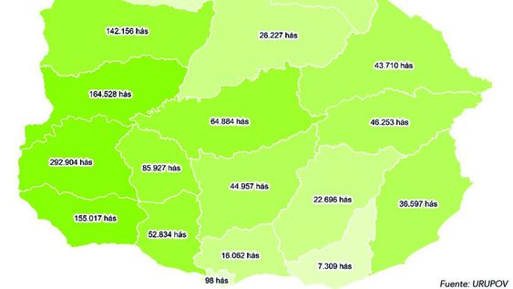 Área de soja sembrada por departamento. Gráfica: Agro de Búsqueda Área de soja sembrada por departamento. Gráfica: Agro de Búsqueda