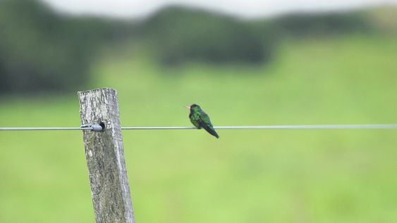 presentaron trabajos sobre huella de carbono y agroecologia financiados con cooperacion del bid presentaron trabajos sobre huella de carbono y agroecologia financiados con cooperacion del bid