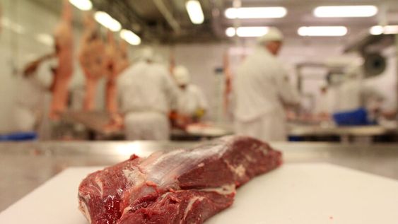 Foto: Nicolás Der Agopián / Búsqueda Foto: Nicolás Der Agopián / Búsqueda