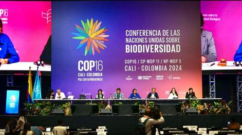 Autoridades durante la COP16&nbsp; en Cali, Colombia