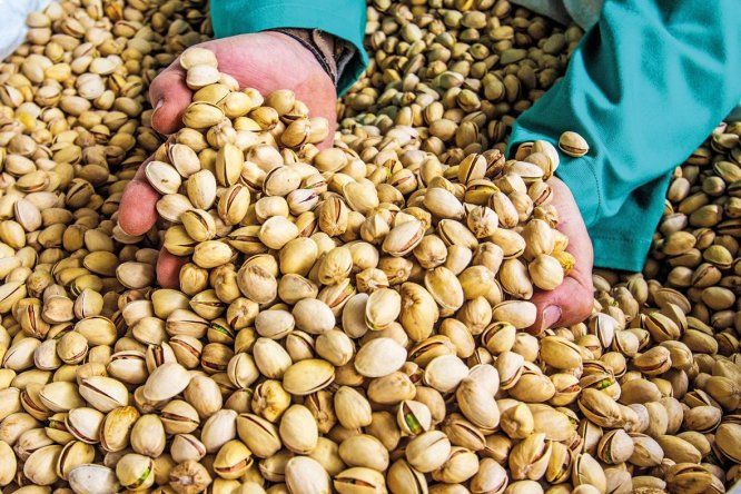 Pistachos.jpg
