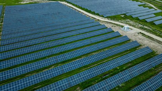 El primer parque solar fotovoltaico de UTE en Punta del Tigre, en San José.
