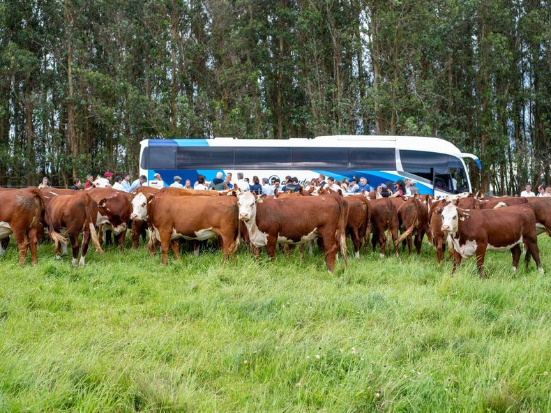 Parte de la delegación observando los planteles Hereford, que están en una zona del Sistema Nacional de Áreas Protegidas