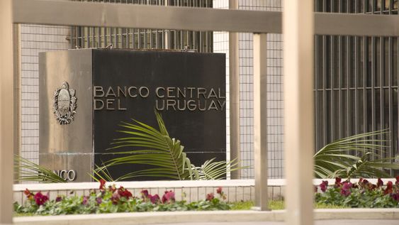 imagen de Con inflación nula de mayo y mensaje de Lacalle Pou sugiriendo “intervenir” en el mercado, el precio del dólar insinuó un alza imagen de Con inflación nula de mayo y mensaje de Lacalle Pou sugiriendo “intervenir” en el mercado, el precio del dólar insinuó un alza