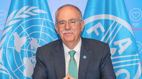 Búsqueda | 75240.jpg