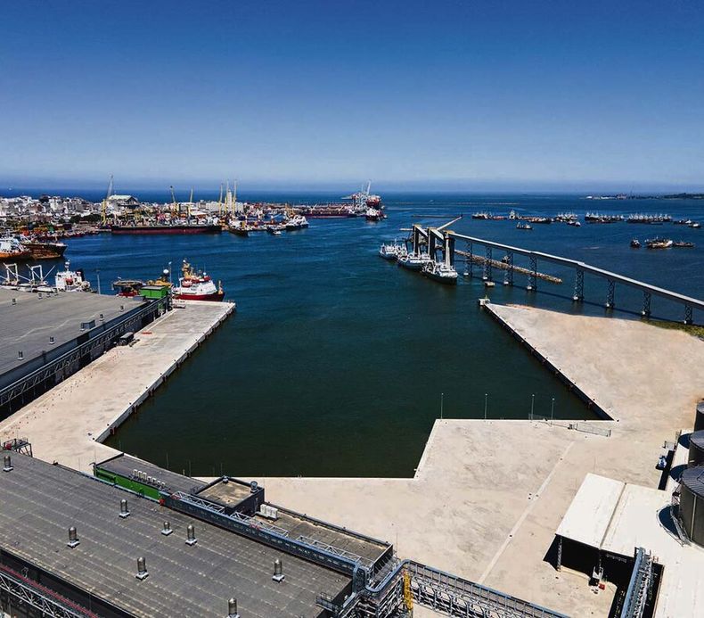Montevideo se posiciona con uno de los principales puertos de la región