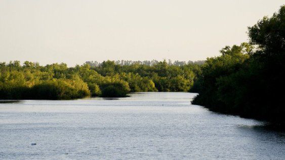 Río Santa Lucía en Canelones. Río Santa Lucía en Canelones.