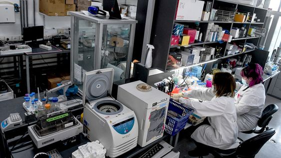 El Instituto Pasteur de Montevideo gastó e invirtió US$ 11,3 millones en investigación y desarrollo en 2024 El Instituto Pasteur de Montevideo gastó e invirtió US$ 11,3 millones en investigación y desarrollo en 2024