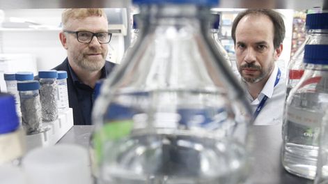 imagen de Un descubrimiento de uruguayos y argentinos abrió un nuevo camino para intentar curar el cáncer y combatir tumores