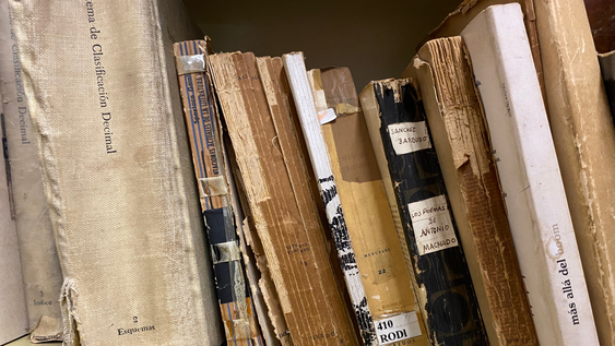 Libros de la Biblioteca Francisco Schinca