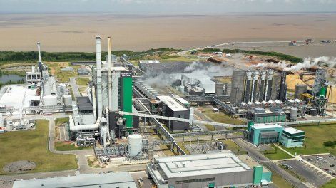 Vista aérea de la planta de Montes del Plata en Conchillas, Colonia. En 2025 la empresa plantó 15.000 hectáreas.