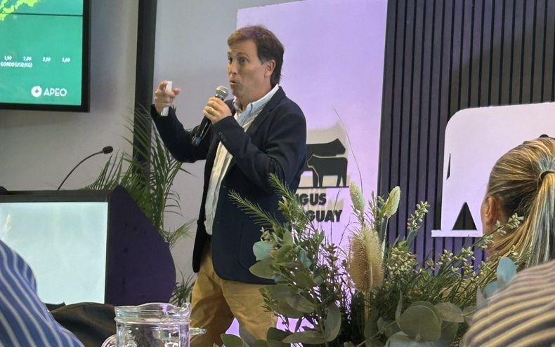 El consultor Diego Varalla, director de APEO, durante su participación en Angus Day