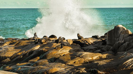 El océano cumple un imponente rol en la economía y tradición de los países, hoy posicionándose como el primer aliado en la lucha contra el cambio climático El océano cumple un imponente rol en la economía y tradición de los países, hoy posicionándose como el primer aliado en la lucha contra el cambio climático