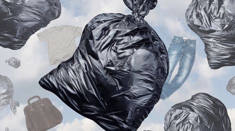 Búsqueda | 807162.jpg