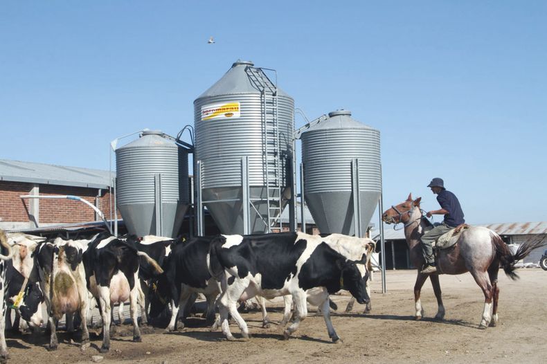 El ingreso preferencial de productos europeos podría desarrollar mayor competencia en Brasil, advierte el Inale.