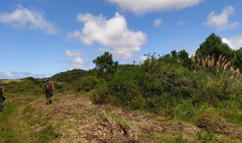Vecinos de la zona comenzaron a juntar firmas para que se retome la construcción del camino. Foto: Ministerio de Ambiente.