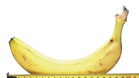 imagen de Mitos y verdades sobre la importancia del tamaño hoy