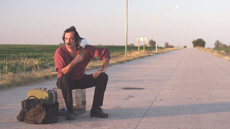 imagen de Vida nueva