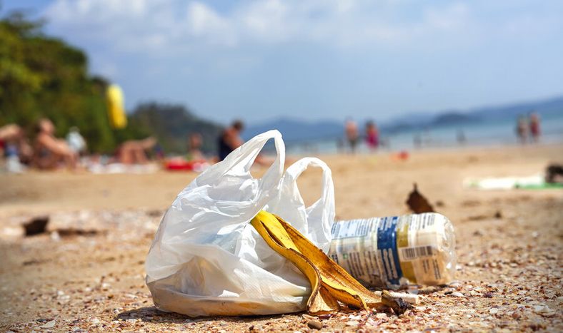 La normativa reguló el uso de las bolsas de plástico con el propósito de proteger el medio ambiente