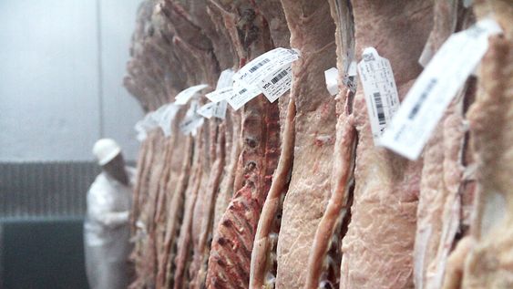 La carne es el principal rubro de exportación de Uruguay y China es su mejor cliente La carne es el principal rubro de exportación de Uruguay y China es su mejor cliente