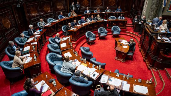 Cámara de Senadores del Palacio Legislativo Cámara de Senadores del Palacio Legislativo