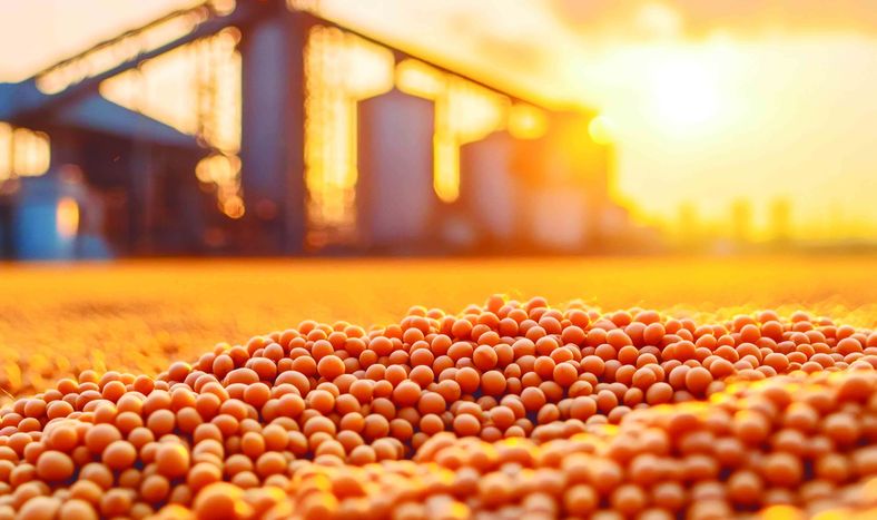 Uruguay tiene potencial para aumentar en 2.000 kg/ha su producción de soja con riego y 1.500 kg/ha en secano.