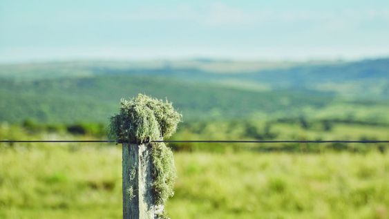 En 2025 se realizaron 1.718 operaciones de compraventa de campos por un total de 259.000 hectáreas. En 2025 se realizaron 1.718 operaciones de compraventa de campos por un total de 259.000 hectáreas.