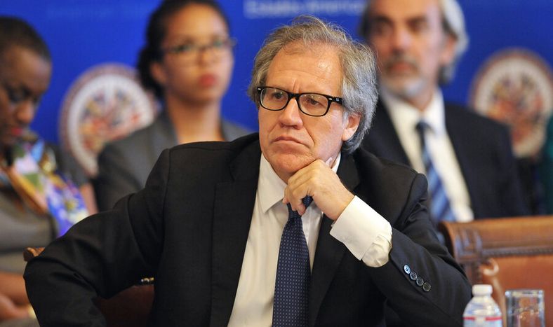 imagen de La OEA se moviliza a impulso de su secretario general ante la  alteración del “orden democrático” y constitucional en Venezuela