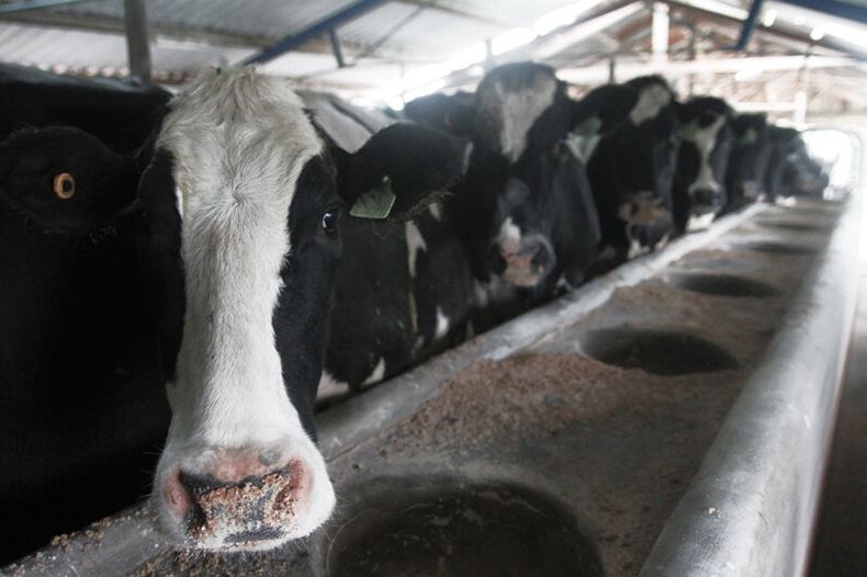 imagen de Aumentó la cantidad de cooperativas que trabajan en el campo