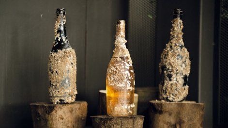 Búsqueda | vinos oceánicos bodega josé ignacio.jpg