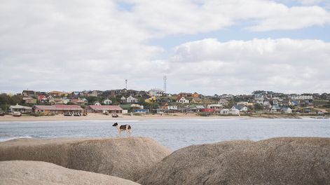 Búsqueda | Punta del Diablo. Foto: Pablo Vignali / adhocFOTOS
